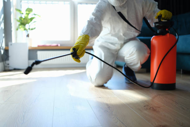 Reliable Blood Cleanup contractor in Yettem, CA by Crime Scene Cleaner Online